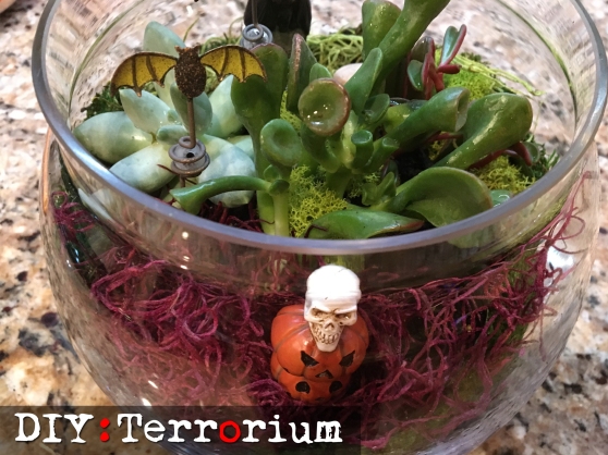 A DIY Terrarium Project From Home Style Austin
